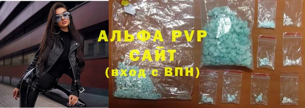 стафф Алзамай