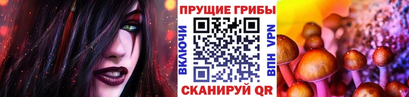 Галлюциногенные грибы Cubensis  наркота  Сорск 